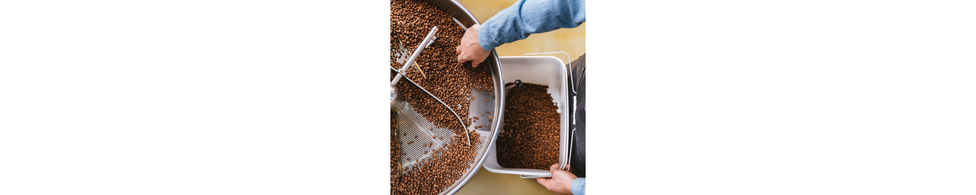 Signature Coffee Bundles