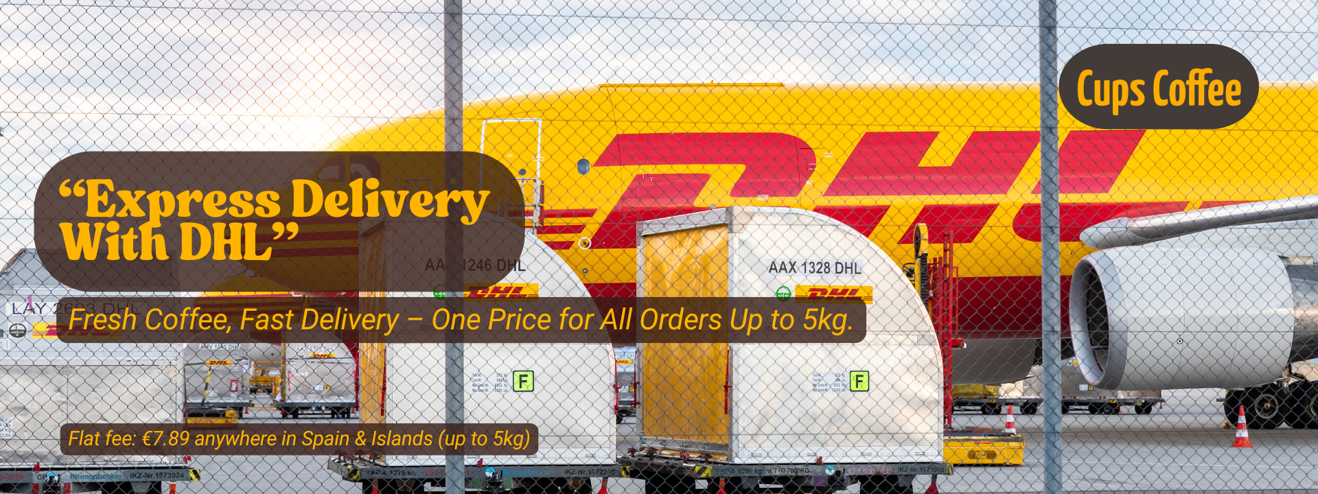 Express Delivery With DHL