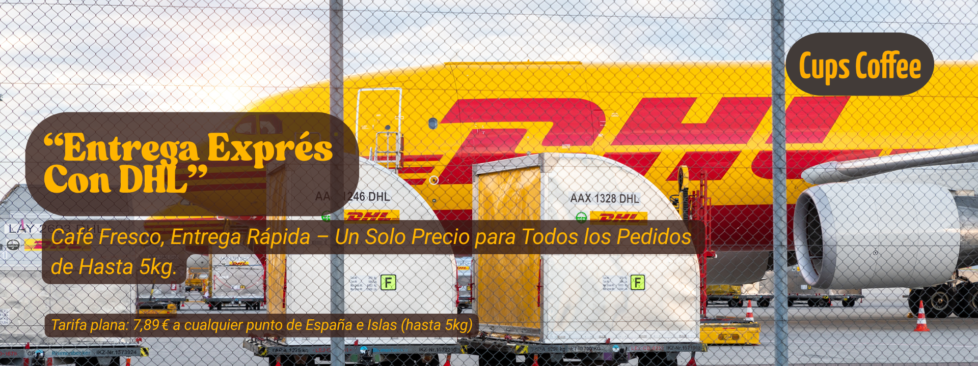 Entrega Exprés con DHL